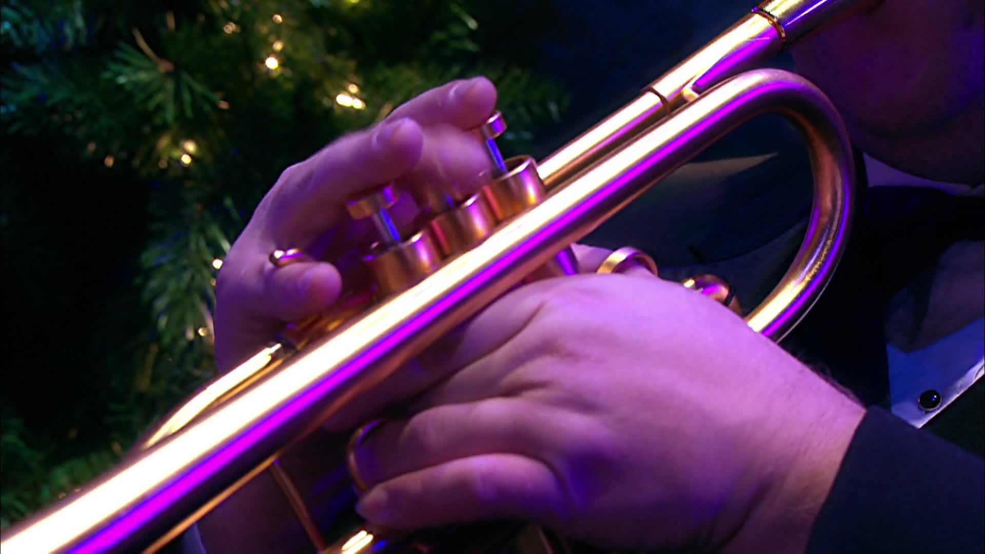 MSW - Christmas Light