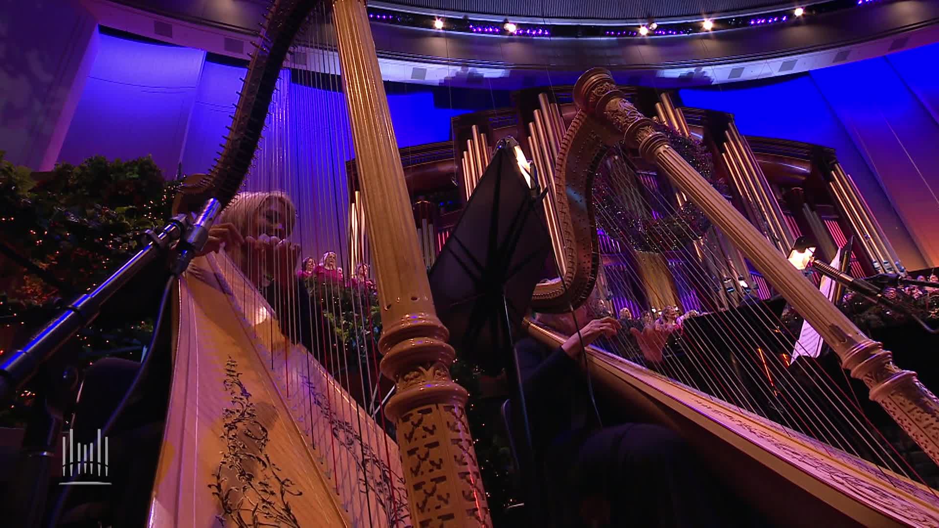 MSW - This Holy Night